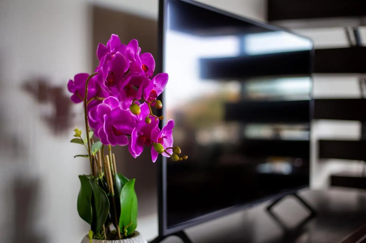 Pietermaai Luxury Apartments Willemstad